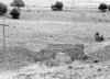 98-5.jpg (48494 bytes)